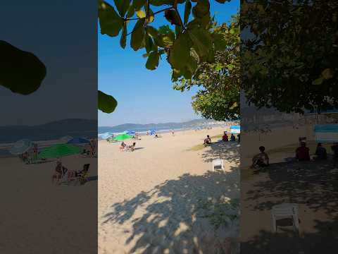 The Illusion of Living at the Beach