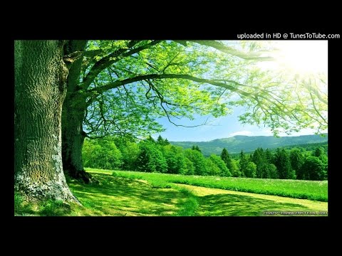 Vandiyele Maman Ponnu - S.P.Bala & Swarna mp3 tamil melody songs