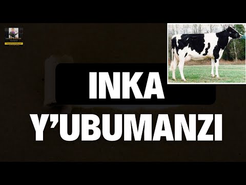 INKA Y’UBUMANZI/Intore y’Ingenzi mu Indashyikirwa/(Rwandan Culture)