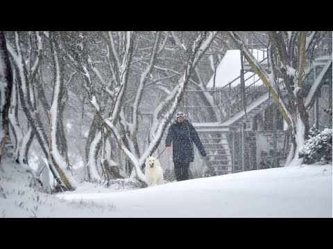Schnee / 07.02.2021 | Wetter