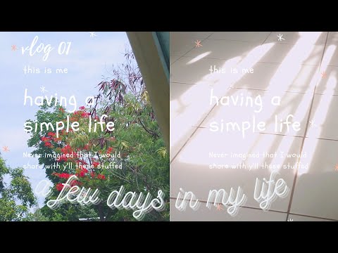 a few days in my life: vlog 01