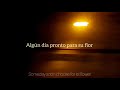 is this nice? - Devendra Banhart [Sub. Español]