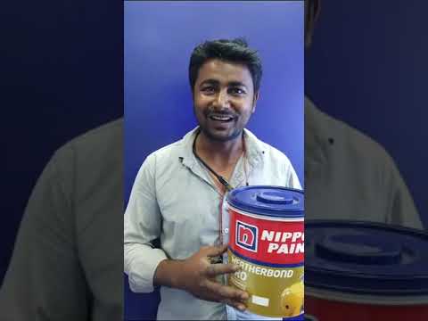 Nippon weather bond pro features