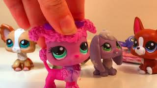 Lps Slumber party By the Haschak  sisters