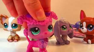 Lps Slumber party By the Haschak  sisters
