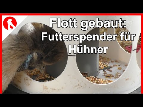 F164 Chicken Feeder Quickly Built from Bucket + HT Pipe DIY - Jensman and the Chickens