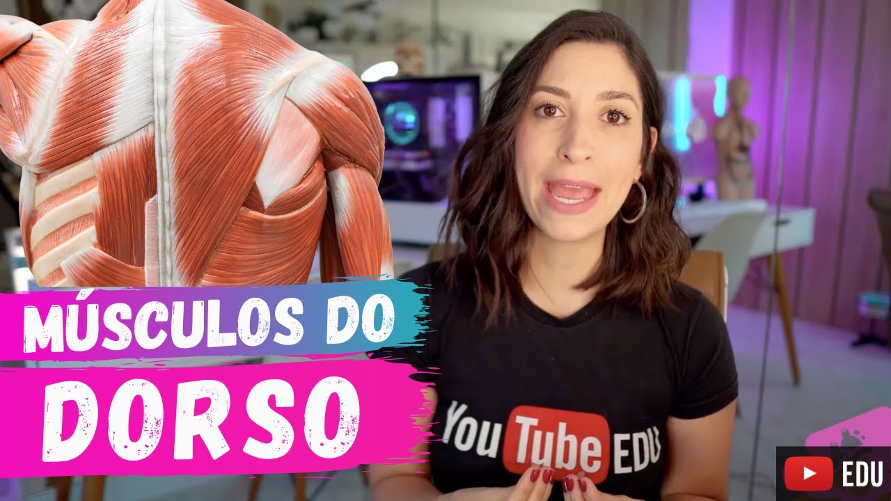 MÚSCULOS superficiais e médios do DORSO