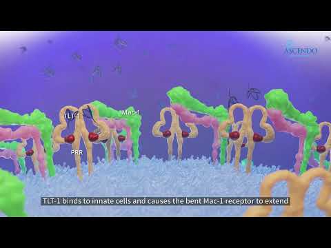 ASD141:A Novel Approach for the Treatment of Solid Tumors