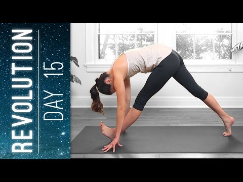 Revolution - Day 15 - Fearless Practice