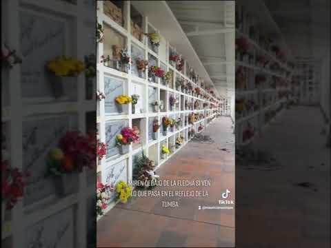 fantasma en cementerio #ghost #fantasma #paranormal #espectro #ente #cementerio #cementery #ufo