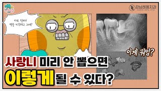 [냐폴레옹 영상툰] 7화 - 사랑니 안 뽑으면? 최악의 경우 이렇게까지 된다?