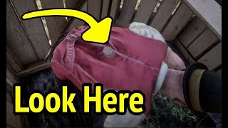 15 Things You Didn&#39;t Know in Red Dead Redemption 2 (RDR2)