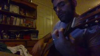 Screaming trees - witness (acoustic cover)