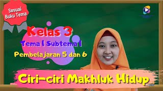 Kelas 3 Tema 1 Subtema 1 Pembelajaran 5 dan 6 : Ciri-ciri Makhluk Hidup