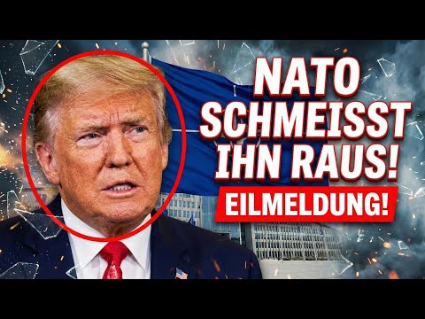 EILMELDUNG: Wütende Weltchefs verbannen Trump aus dem größten Bündnis – NATO vor dem BRUCH?