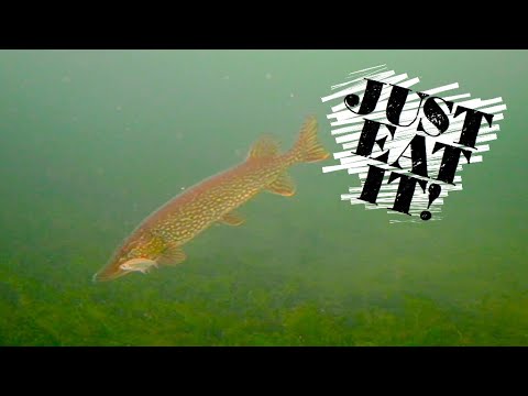 Pesca sul ghiaccio con telecamera subacquea + Come registrare