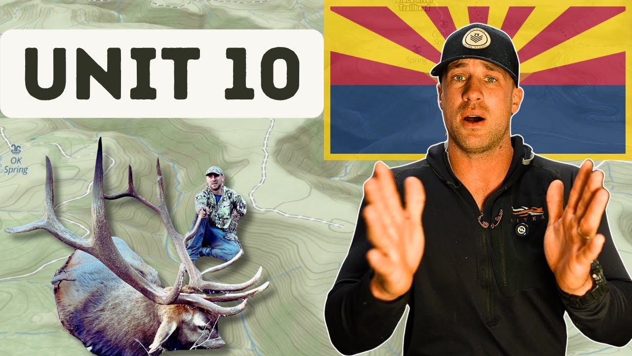 Arizona Elk Hunting Unit 10: Draw Odds, Best Hunt Spots, and Proven Strategies (2025)