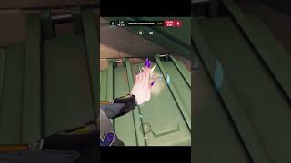 Do You Know About This Pigeon On MidTown??🦜 #shorts