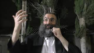 התוועדות ח"י אלול כפר סבא. הרב יהודה ליב נחמנסון [תש"פ]