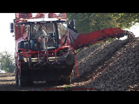 Grimme - JCB - Holmer - Fendt / Rübenernte und Verladung - Harvesting and Loading Sugar Beets pt.1