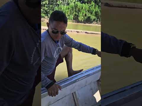 Vamos entrar dentro do igarapé Apuaná em Tarauacá-Acre #ação #vacina