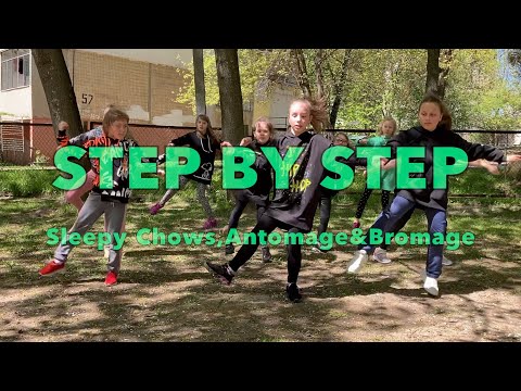Sleepy Chows,Antomage &Bromage Step by step Dance video