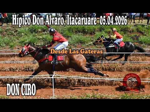 DON CIRO - HIPICO DON ALVARO, ITACARUARE, MISIONES 05.04.2026