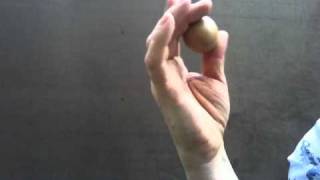Egg Shaker Technique 2