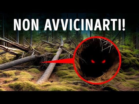 Se Vedi questa Tana, Non ti Avvicinare