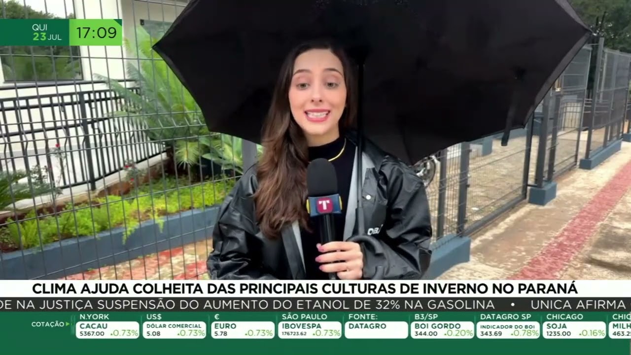 Clima ajuda colheita das principais culturas de inverno no Paraná