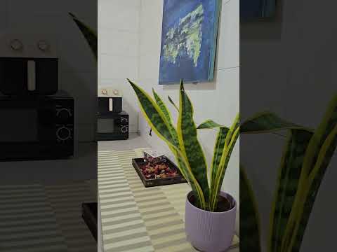 63 Wishart Road at Telok Blangah MRT Harbourfront MRT, Wishart Road, Studio, 450 sqft, Town House For Rent, by Quincy Sung, 23900155 - PropertyGuru.com.sg