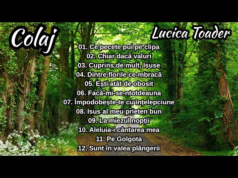Lucica Toader - Colaj de cântări  - Partea 3