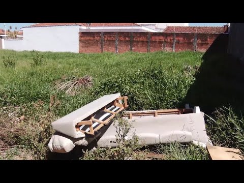 Mato alto em terreno é alvo de reclamação