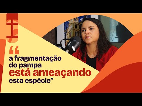 Postgraduate Program in Animal Biology - Disserta Aí!