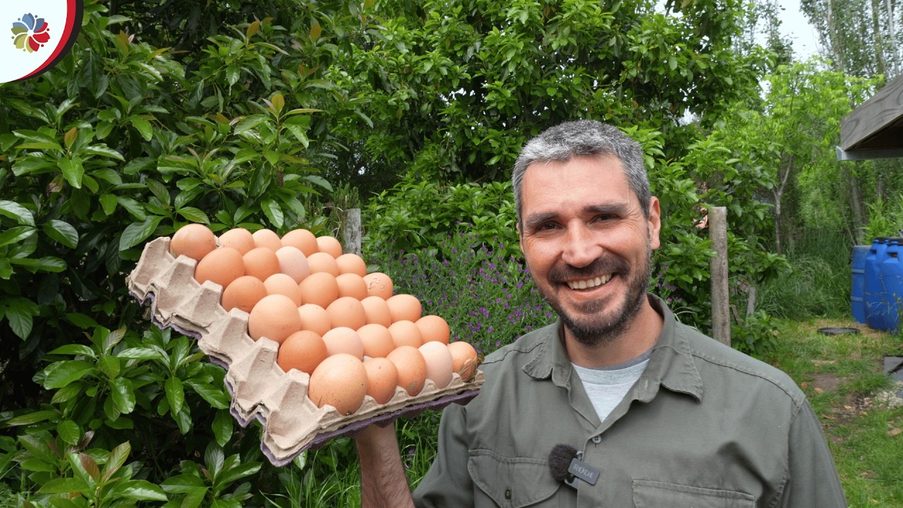 Te DESEO una MINI GRANJA 💚