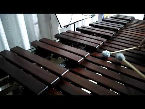 Inni di lode N°430: Sotto le ali paterne Marimba Cover