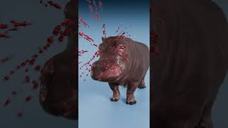 Download lagu Bullet Effect On Armadillo vs Bullet Effect On Elephant mp3