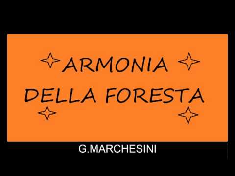 Marcia Sinfonica "Armonia della Foresta
