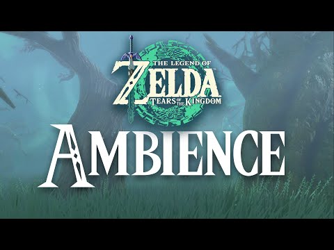 Tears of the Kingdom | Lost Woods | 1 Hour Relaxing Zelda Ambience Sounds ASMR