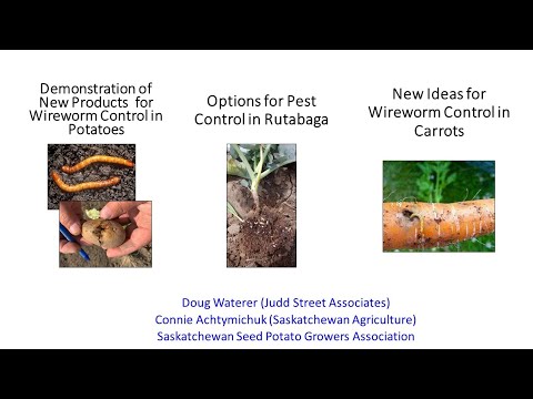 , title : 'Wireworms in potato, rutabaga, and carrot'