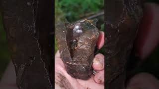 Download lagu Agate creek!! #agate #rockhounding #carnelian #pnw #fyp mp3