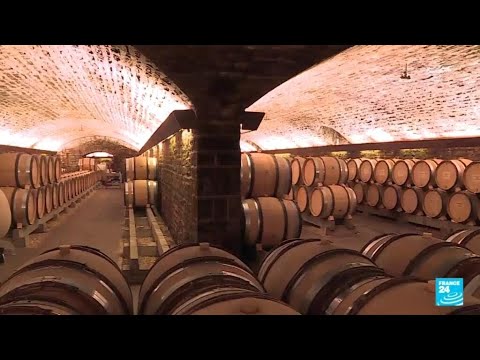 Making the perfect oak barrel: The French tradition of cooperage • FRANCE 24 English