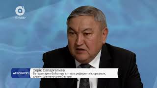 Мал індетімен күрес