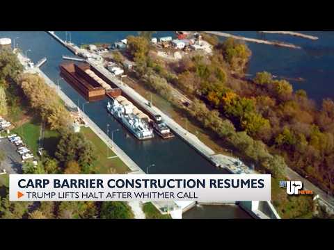 'Last line of defense': Construction restarts on billion-dollar carp ...