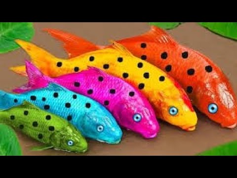 Top 5 Episodes Crocodiles Chase Bright Koi, Catfish Crude Cooking Eels - Stop Movement ASMR