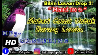 Download lagu BIKIN LAWAN DROP MENTAL - Materi Cocok Untuk MURAI BATU, KACER, CENDET, CUCAK IJO Full Materi SADIS mp3