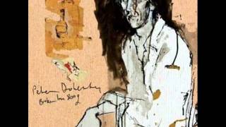 Pete Doherty Graceland Wasteland Limited Edition Disc 2 Lady Dont Fall Backwards Acoustic