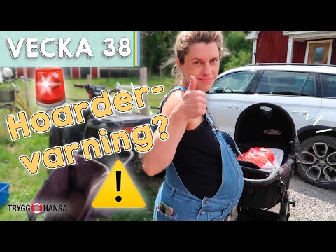 HUR MÅNGA VAGNAR ÄR FÖR MYCKET? - Susanna Karlsson vecka 38