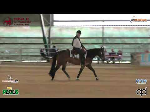 2 tappa LRHA 2019 - DE ANGELIS PIETRO ANGELO & FROZEN TASSAS score 70