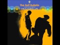 Race For The Prize by The Flaming Lips